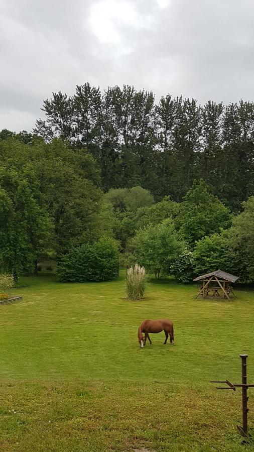 Chambres D'Hotes La Baudriere Livaie Bagian luar foto