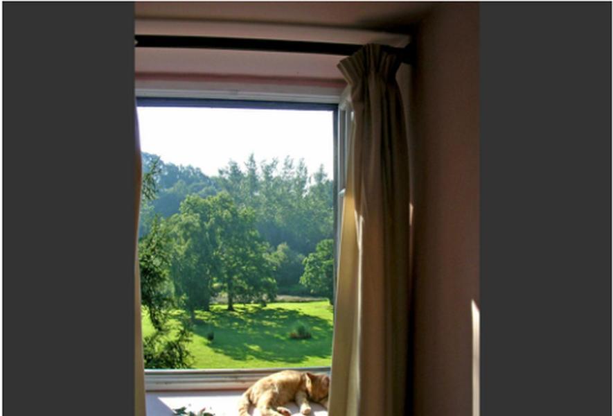 Chambres D'Hotes La Baudriere Livaie Ruang foto